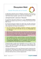 Vorschau - Mal- und Bastelvorlagen - Willi macht Schule: Lebensraum Wald – Ökosystem - Seite 1