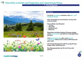 Vorschau - Arbeitsblätter - Willi macht Schule: Lebensraum Wiese – Die Bergwiese - Seite 1
