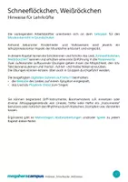 Vorschau - Mal- und Bastelvorlagen - Kinderlieder zum Mitsingen – Schneeflöckchen, Weißröckchen - Seite 2