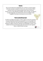 Vorschau - Spiele - Spiel Personensuche Ferienbingo zum Schuljahreseinstieg - Seite 2