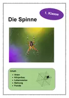 Vorschau - Arbeitsblätter - Die Spinne 1. Klasse - Deckblatt