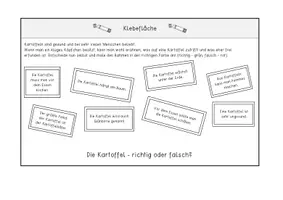 Vorschau - Anderer Materialtyp - Klappheftchen – Kartoffel - Seite 3