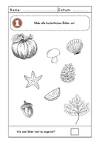 Vorschau - Arbeitsblätter - Kleiner Escape Room Klasse 1, Herbst (Sachunterricht, Mathe, Deutsch) - Seite 1