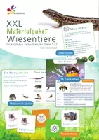 Vorschau - Spiele - Wiesentiere XXL Gesamt - Tiere/Wiesenschichten/Tafelmaterial - Deckblatt