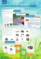 Vorschau - Spiele - Wiesentiere XXL Gesamt - Tiere/Wiesenschichten/Tafelmaterial - Seite 1