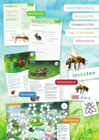 Vorschau - Spiele - Wiesentiere XXL Gesamt - Tiere/Wiesenschichten/Tafelmaterial - Seite 2