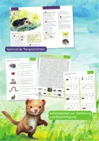Vorschau - Spiele - Wiesentiere XXL Gesamt - Tiere/Wiesenschichten/Tafelmaterial - Seite 3