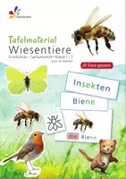Vorschau - Fördermaterial/Inklusion - Wiesentiere 🦋 Tafelmaterial Tiere/Tierklassen/Schichten - Deckblatt