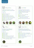 Vorschau - Stationenlernen - Wiesentiere 🦋 Tierkarten, Steckbriefe und Wiesenschichten - Seite 1
