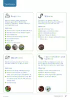 Vorschau - Stationenlernen - Wiesentiere 🦋 Tierkarten, Steckbriefe und Wiesenschichten - Seite 2