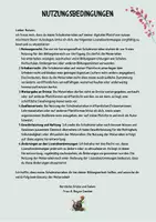 Vorschau - Arbeitsblätter - 🎲 Würfelspiel - DINOSAURIERGESCHICHTEN 🦖 - kreativ schreiben - Seite 1