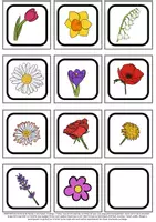 Aperçu - Apprentissages en autonomie - Memory conscience phonologique - Fleurs - Page de couverture