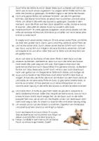 Vorschau - Klassenarbeiten - Lernzielkontrolle Lesen 4. Klasse Probe - Seite 2