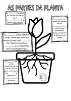 Vista previa - Hojas de trabajo - O MEU LIBRO DAS PLANTAS (LIBRO-LAPBOOK) - página 1