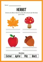 Vorschau - Arbeitsblätter - Herbst Zählen | Mathematik Grundschule | editierbar - Deckblatt