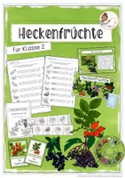 Vorschau - Stundenentwürfe - Heckenfrüchte (Die Hecke) - HSU Klasse 2 - Deckblatt