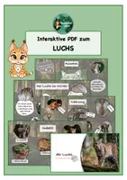 Vorschau - Präsentationen/Tafelbilder - Interaktive PDF Luchs, Sachunterricht - Deckblatt