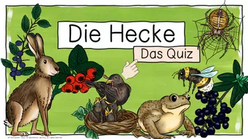 Vorschau - Quiz - Interaktives Abschlussquiz zum Thema "Die Hecke" - Klasse 2 - Seite 3