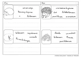 Aperçu - Feuilles d'exercices - Phrases secouées: Herisson - Page 3