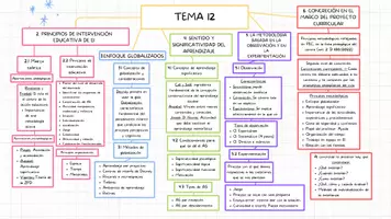 Vista previa - Unidades / Secuencias / Situaciones de Aprendizaje - Pack esquemas Temas 6 y 12 oposiciones infantil - Portada