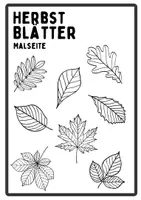 Vorschau - Stundenentwürfe - Herbst Paket Grundschule – 16 Materialien: Igel, Bäume & Kastanien-Mathe - Seite 1