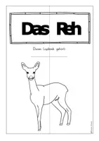 Vorschau - Arbeitsblätter - Das Reh - Ein Lapbook - Seite 3