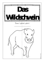 Vorschau - Mal- und Bastelvorlagen - Das Wildschwein - Ein Lapbook - Seite 3