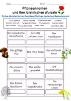 Vorschau - Arbeitsblätter - Pflanzennamen und ihre lateinischen Wurzeln - Deckblatt