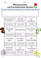 Vorschau - Arbeitsblätter - Pflanzennamen und ihre lateinischen Wurzeln - Seite 1