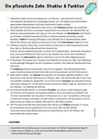 Vorschau - Arbeitsblätter - Materialpaket Zellbiologie Zytologie Oberstufe - Seite 3
