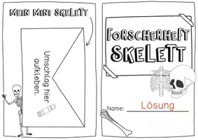 Vorschau - Stundenentwürfe - Skelett - XXL Materialpaket - Knochen, Gelenke, Wirbelsäule - Seite 1