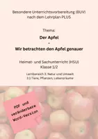 Vorschau - Stundenentwürfe - BUV Apfel - Deckblatt
