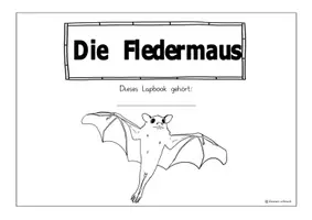 Vorschau - Arbeitsblätter - Die Fledermaus - Ein Lapbook - Seite 2