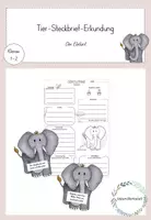 Vorschau - Arbeitsblätter - Tier-Steckbrief-Erkundung- Der Elefant - Deckblatt