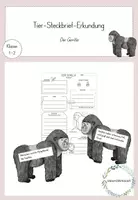 Vorschau - Arbeitsblätter - Tier-Steckbrief-Erkundung- Der Gorilla - Deckblatt