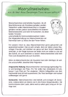 Vorschau - Arbeitsblätter - Meerschweinchen für Grundschüler – Was Kinder über Kleintiere wissen sollten - Seite 1
