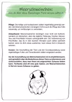 Vorschau - Arbeitsblätter - Meerschweinchen für Grundschüler – Was Kinder über Kleintiere wissen sollten - Seite 2