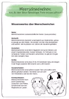 Vorschau - Arbeitsblätter - Meerschweinchen für Grundschüler – Was Kinder über Kleintiere wissen sollten - Seite 3