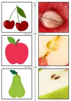 Vorschau - Spiele - Matching Spiel Obst und Gemüse - Seite 2