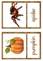 Vorschau - Bildkarten - Flashcards Halloween Bildkarten mit Text - Seite 2