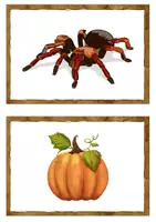 Vorschau - Bildkarten - Flashcards Halloween - Bild und Wortkarten - Seite 3
