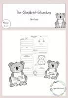 Vorschau - Arbeitsblätter - Tier-Steckbrief-Erkundung- Der Koala - Deckblatt