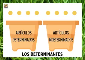 Vista previa - Refuerzo / NEE / Materiales de apoyo - Determinantes artículos, demostrativos, posesivos, numerales - página 1