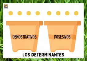 Vista previa - Refuerzo / NEE / Materiales de apoyo - Determinantes artículos, demostrativos, posesivos, numerales - página 2