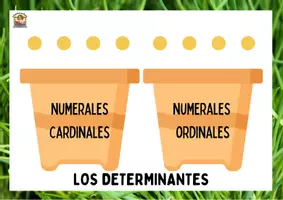 Vista previa - Refuerzo / NEE / Materiales de apoyo - Determinantes artículos, demostrativos, posesivos, numerales - página 3