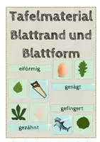 Vorschau - Poster - Blattrand und Blattform Tafel-/Legematerial HSU - Deckblatt
