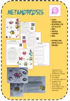 Vista previa - Hojas de trabajo - LA METAMORFÓSIS y LOS INSECTOS - Portada