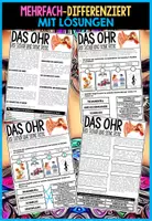 Vorschau - Unterrichtsreihen - Sinne & Sinnesorgane- Infomaterial & Arbeitsblätter | Ohr - Auge - Nase - Zunge - Haut - Seite 1
