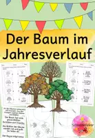 Vorschau - Arbeitsblätter - Baum im Jahresverlauf, Wald - Deckblatt