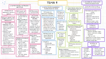 Vista previa - Unidades / Secuencias / Situaciones de Aprendizaje - Esquema tema 9 oposiciones infantil - Portada